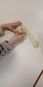 8519a91f 6eee 4bcd b426 349b377f64a5