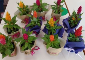 63c58425 4e0a 4712 a62b ece4950d7959