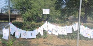 7d2a1339 e2db 45bc 887f 5d021920f922