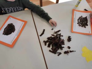 Messenger creation de556ae2 cddb 4cba 9bc3 cb9b96b31c63