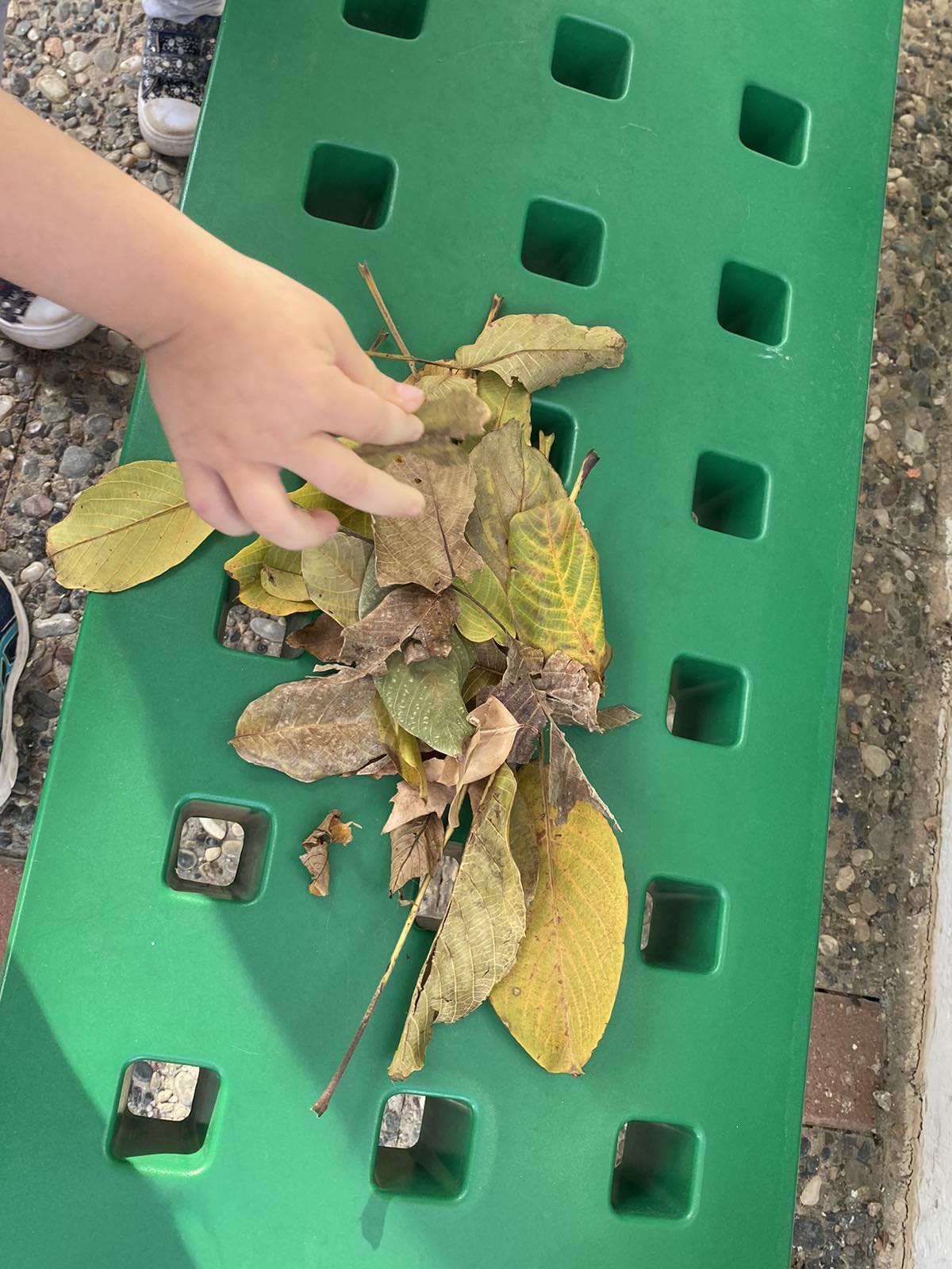 IMG 835fca9f6b59c783871c135e208bd386 V