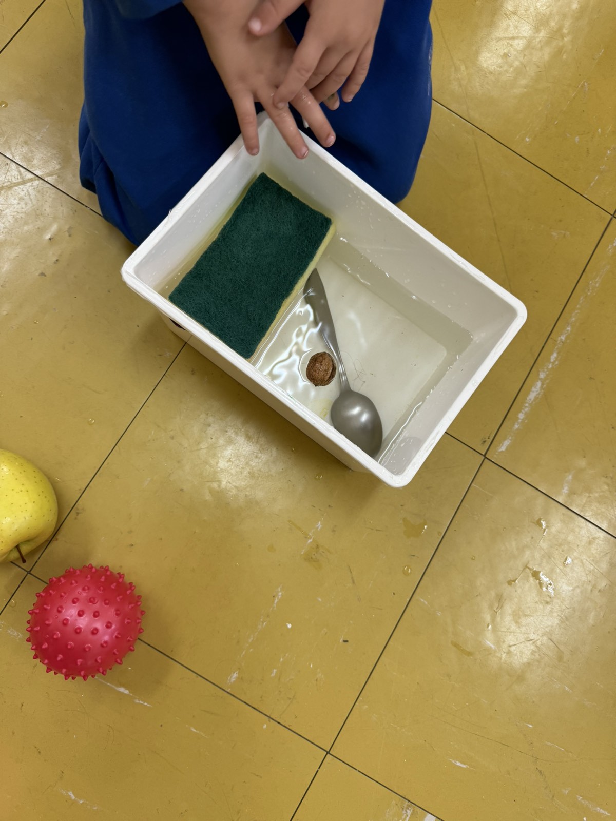 IMG 16f3f40fb1292e1fcd907f7e9099efde V