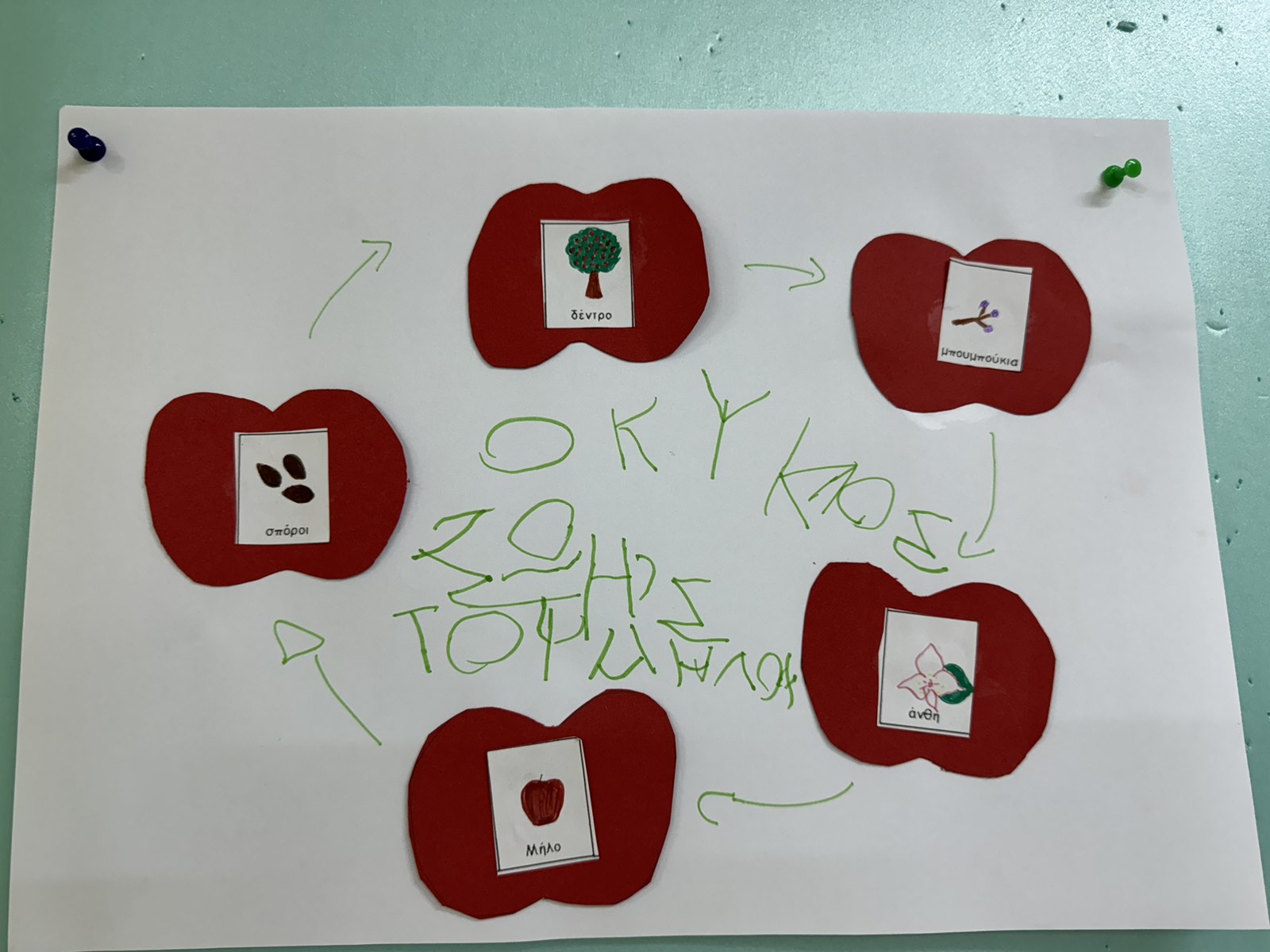 IMG 36de3f6998b0e85fea5af1111971ea80 V