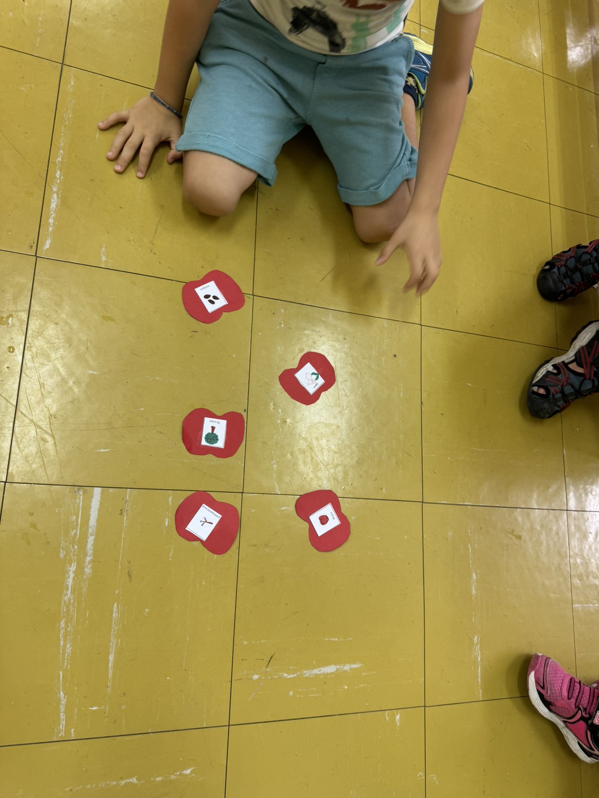 IMG 3976f35b6bddf754a2e4f1eb7ff7e348 V