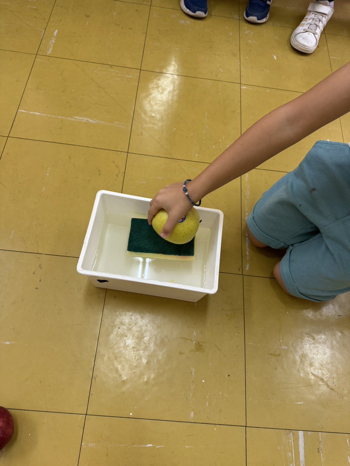 IMG 9882daa7e3e4bb5afd7441e714dc9a53 V