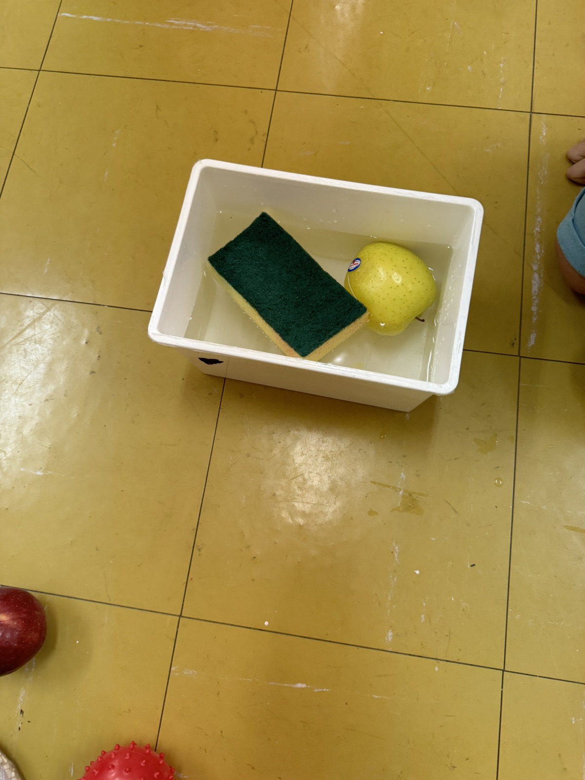 IMG d7f280a702049807c33d95127ee61be3 V