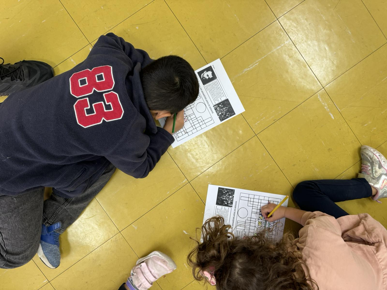 IMG 90d93606ee953d6b0b775ce097926ffe V