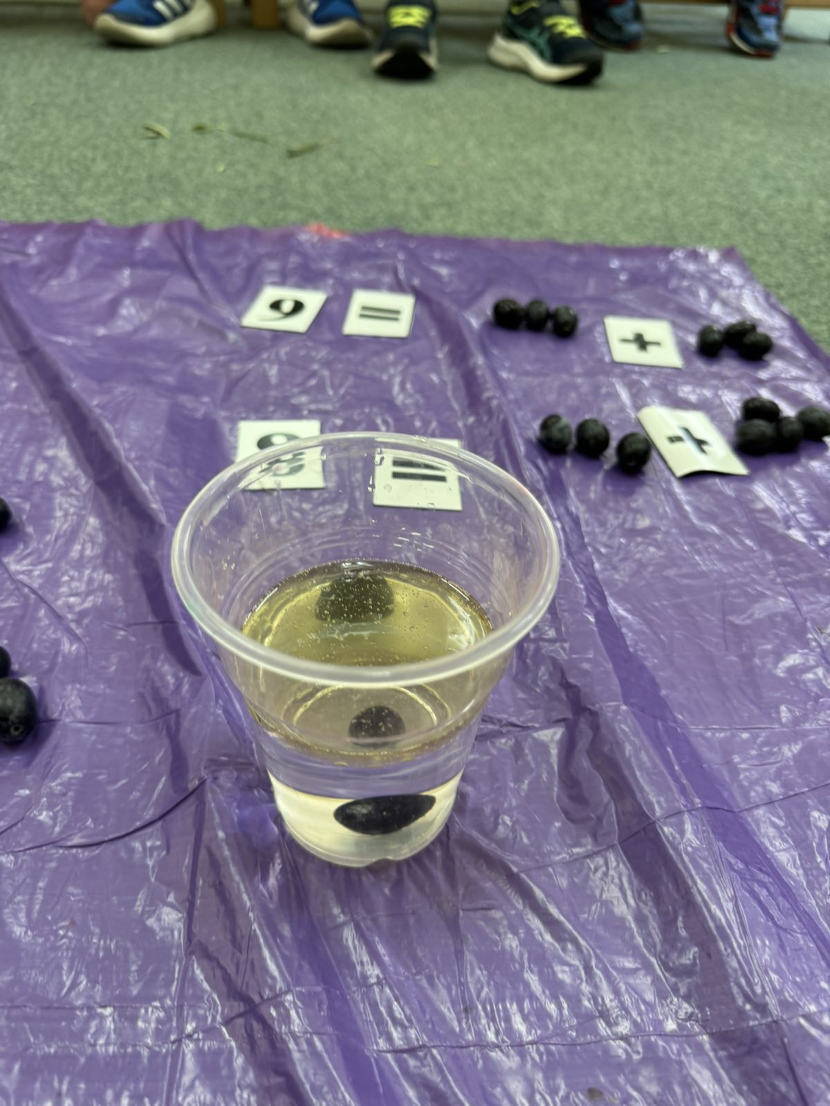 IMG f55e8994cb6c1af09fc1d0225ced10ef V