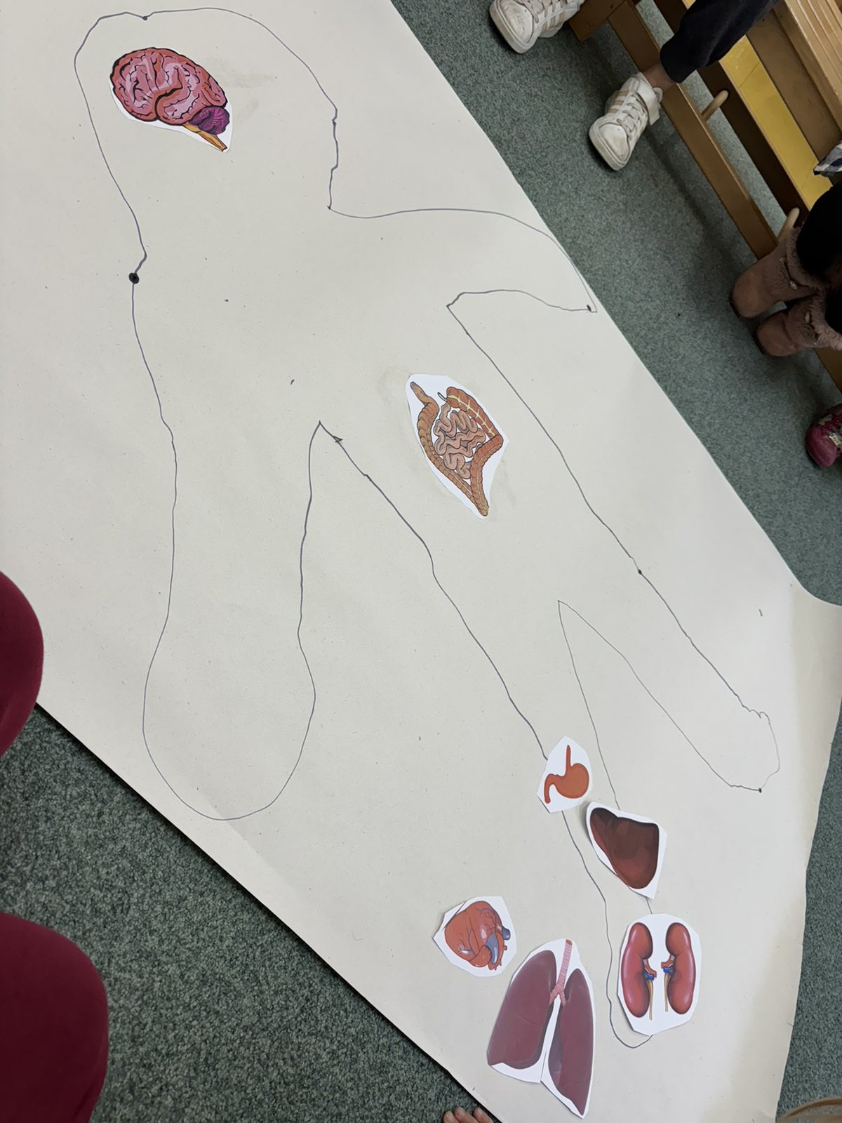 IMG 39be4a9d18b7701f7f54fb0f0df34529 V