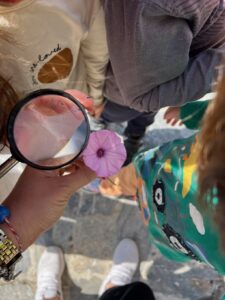 thumbnail IMG 7351