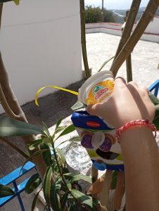 thumbnail IMG 7472