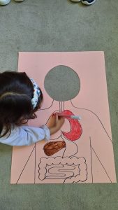 WhatsApp Image 2025 12 10 at 4.09.57 PM