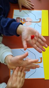 WhatsApp Image 2025 12 10 at 4.09.57 PM 3