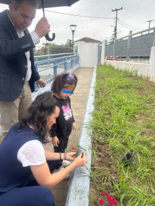 a8cf74ff 034e 400e acad 62d18a421d8b