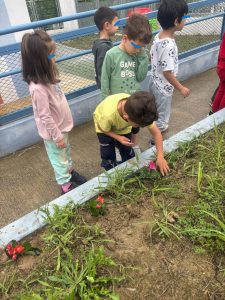 cf1bb90c 29dd 4e0f a08e 9636fb8d5401