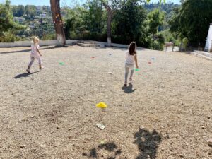 IMG 6231