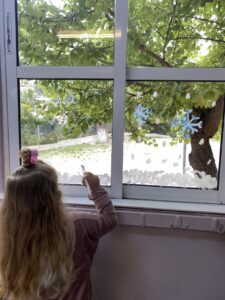 IMG 7068