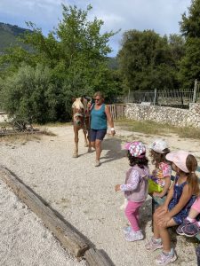 IMG 8577