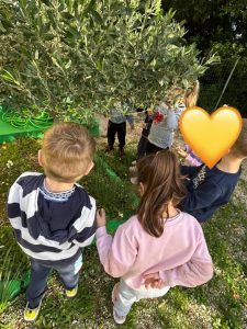 AAE7B305 E48E 4704 AEE8 8C02BD395FB8