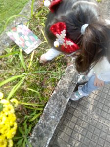 IMG 20211118 124326