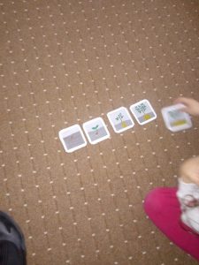 IMG 20211125 151457