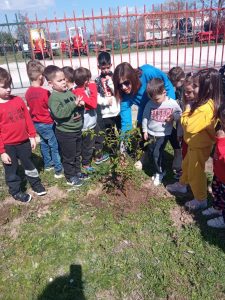 IMG 20230313 124603