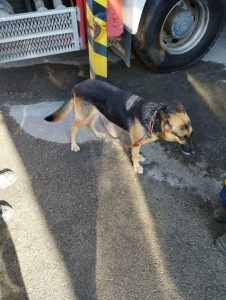 received 1413137352548445