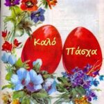 00d55b0c2fe85e2e09b4725277ed19ee