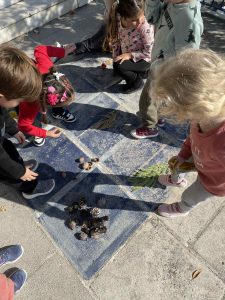 96e01444 0fdd 44ca 95ee a6d3bffa1670