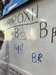 52c4759f 1db3 4f62 a2a6 735174bdda8d