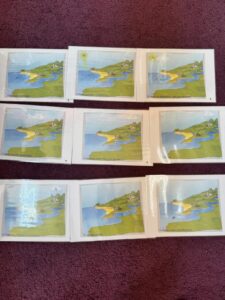 f4826d15 85cd 492d b92c 23e6bce51256