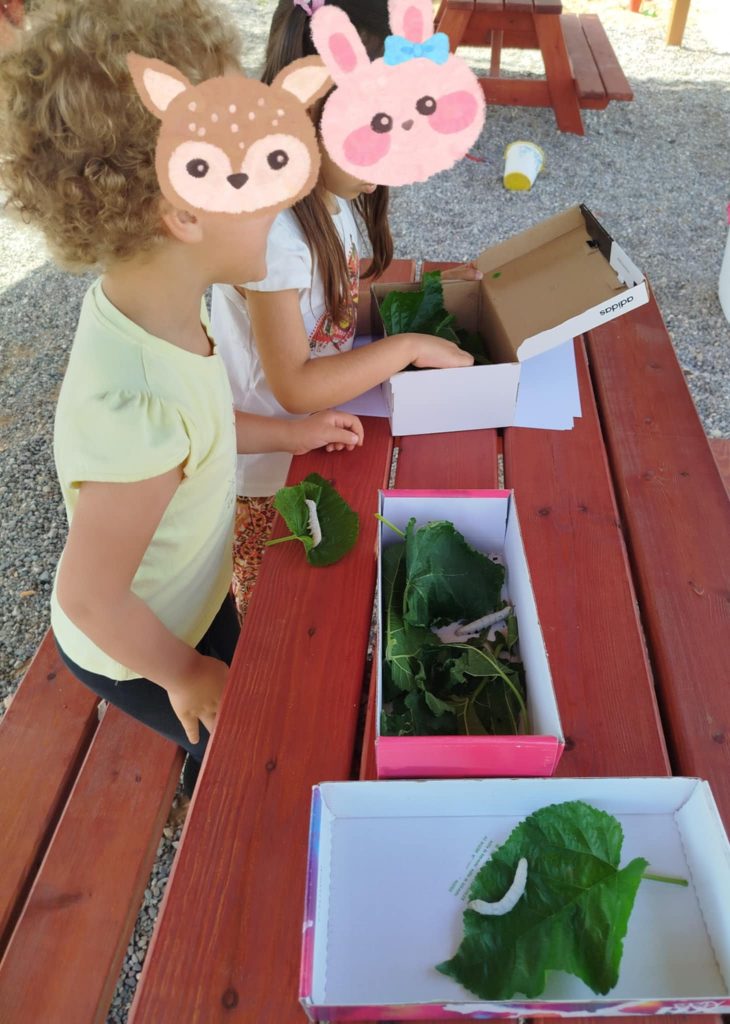 0dc9f072 0258 4bcc 94f3 7edb923686b1