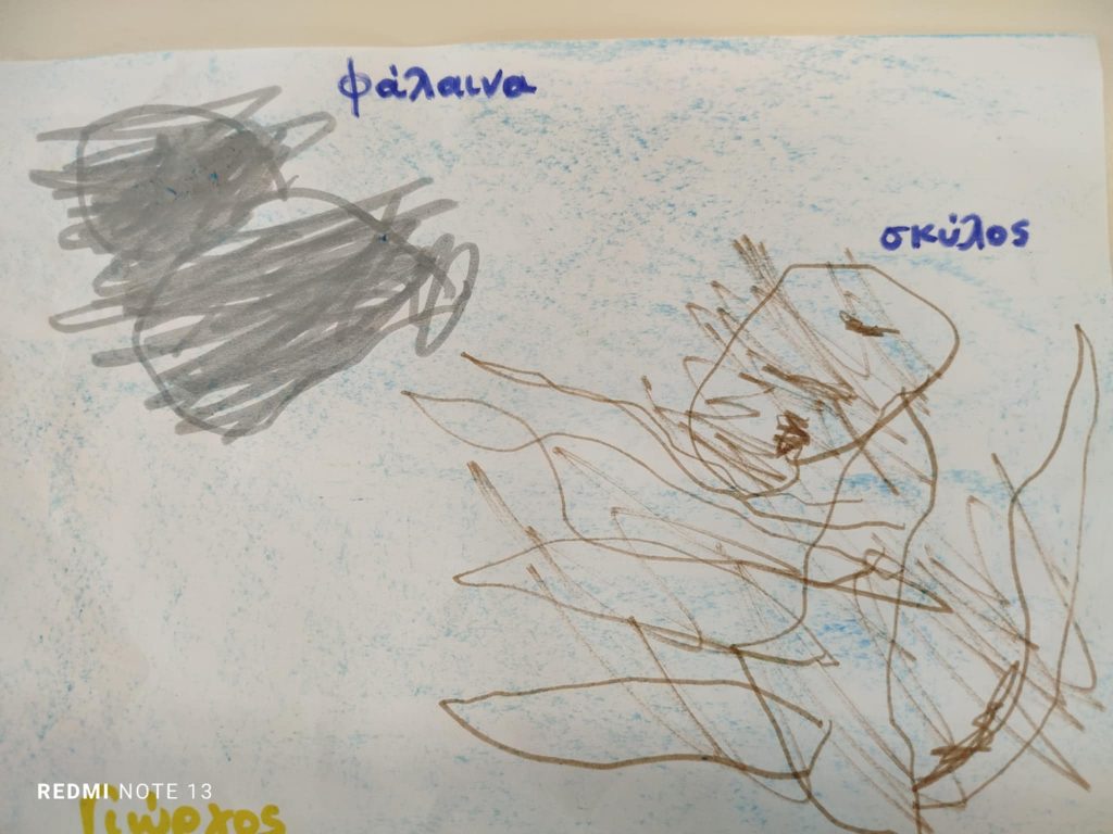 81d9755f 04be 4549 bab8 19c57ea4df1f