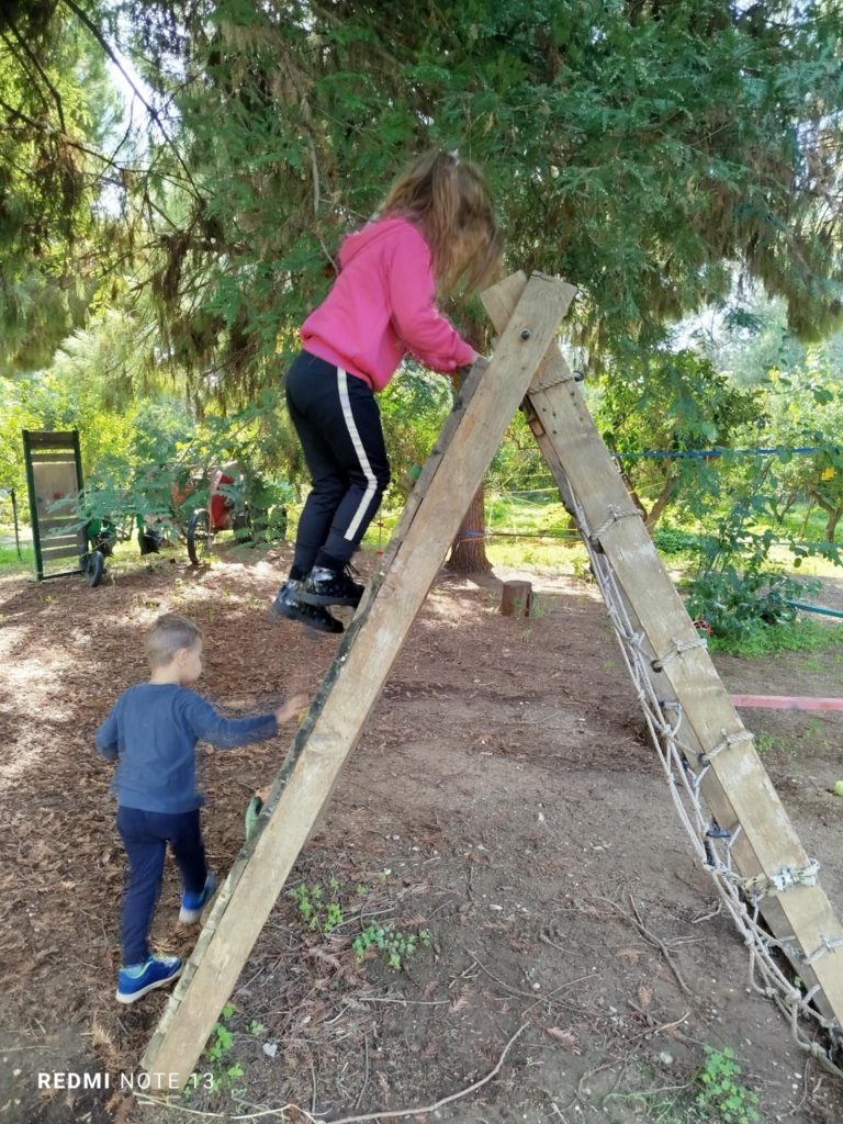 e0eafc95 5f2a 4add a58f fce804368b9a 1