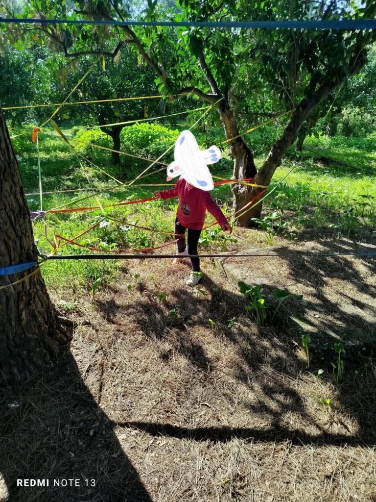 ec62bb86 62c7 461c afc8 275322cee301