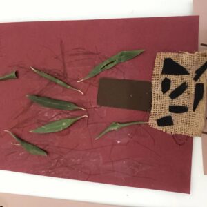 ΚΑΤΑΣΚΕΥΗ ΕΛΙΑ