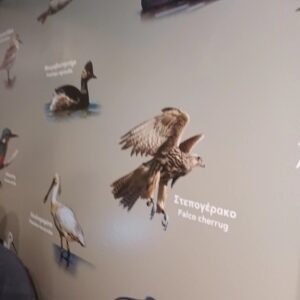 Εκδρομή Μουσείο 6