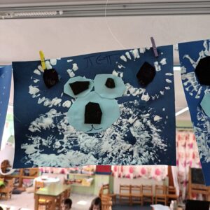 ΠΟΛΙΚΕΣ ΑΡΚΟΥΔΕΣ 2