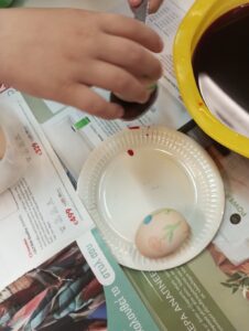 IMG 20240423 104647 1