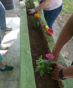 IMG 20240527 105206 1