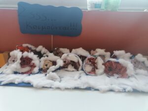 IMG 20240125 092958
