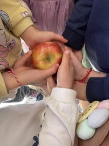 IMG dba8d3344e59b453008a49ce06b2cda5 V