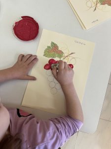 IMG 5328