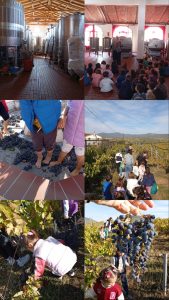 FFC95903 2C5A 4829 BEF7 FE7FF9E1A8E5