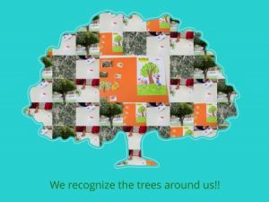 recognize trees