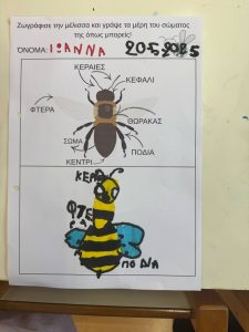 Messenger creation 24DC973E 9C72 4DB9 A5C1 34F2FAA0422D