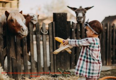 PIXNIO 2541344 1400x933