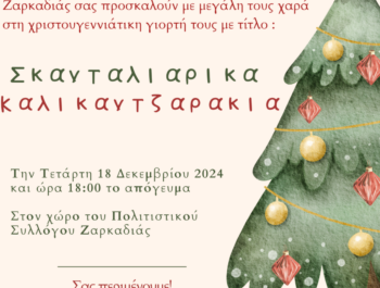 Χριστουγεννιάτικη Γιορτή Νηπιαγωγείου Ζαρκαδιάς 2024