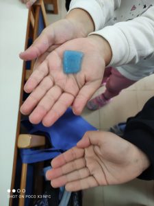 IMG 20220113 124545