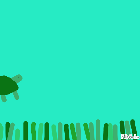 turtle